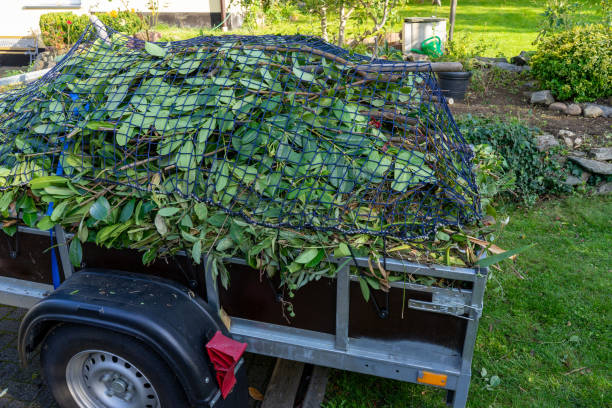 Best Property Management Cleanouts  in Bothell East, WA